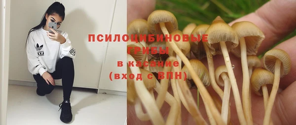 спиды Белокуриха