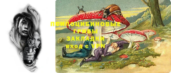 гашик Богородск