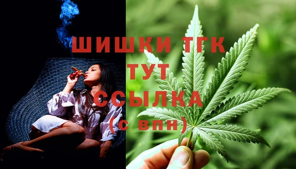 спиды Белокуриха