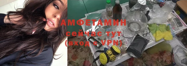 гашик Богородск